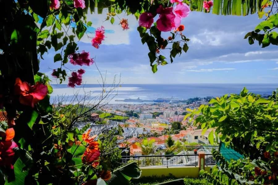 Granny'S House View Villa Funchal Dış mekan fotoğraf