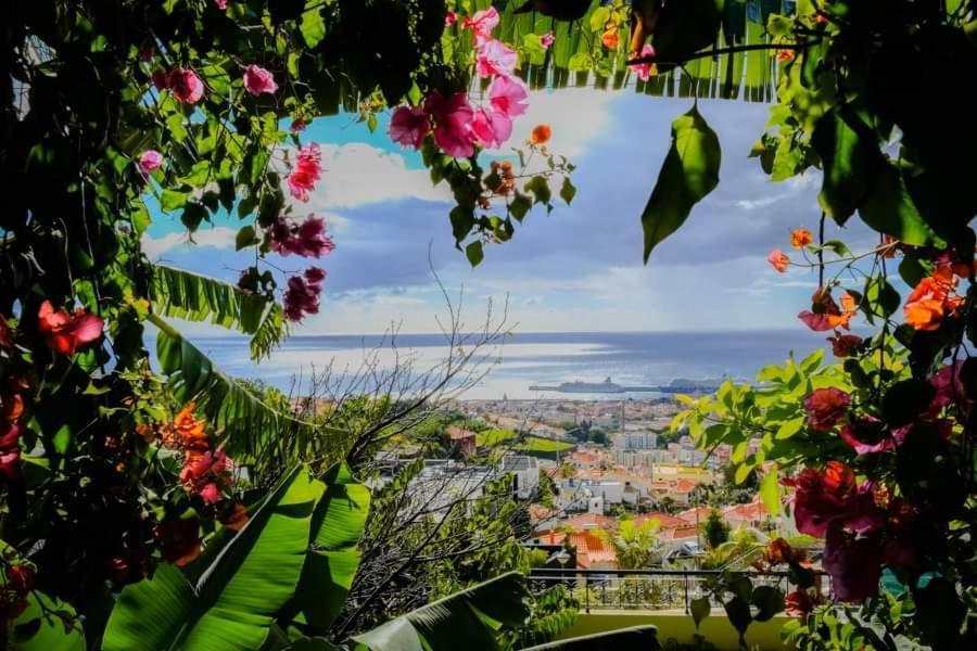 Granny'S House View Villa Funchal Dış mekan fotoğraf