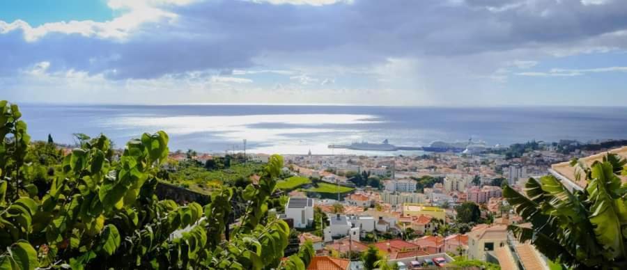 Granny'S House View Villa Funchal Dış mekan fotoğraf